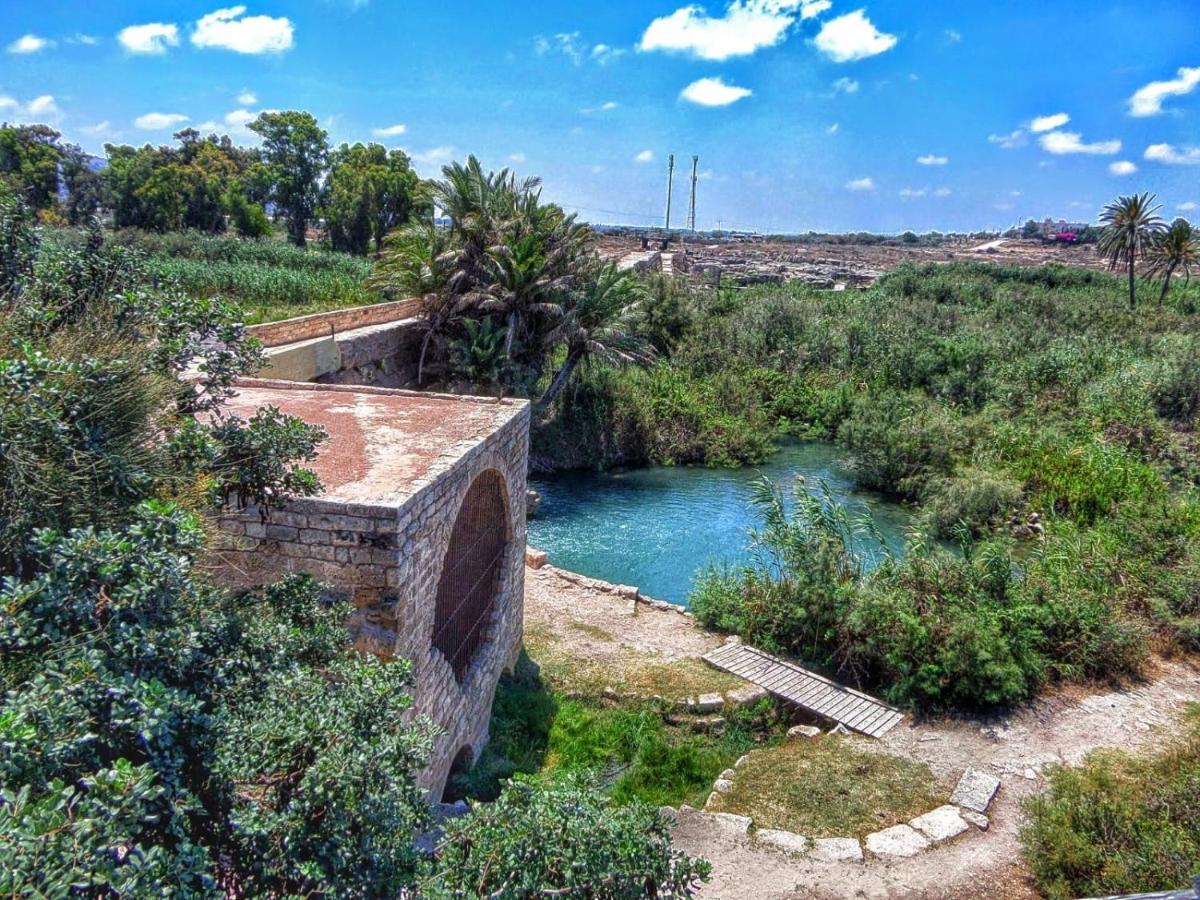 Juha'S Guesthouse - Zarqa Bay Jisr ez Zarqa Εξωτερικό φωτογραφία